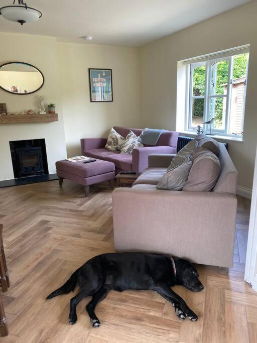 Lovely Quiet Cottage Sleeps 4 Adults, 4 Children, Dog Friendly Клей-некст-зе-Си Экстерьер фото
